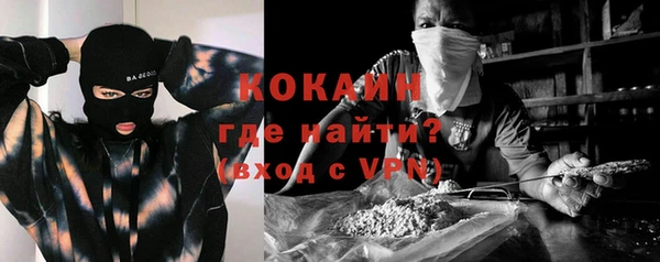 прущие грибы Горнозаводск