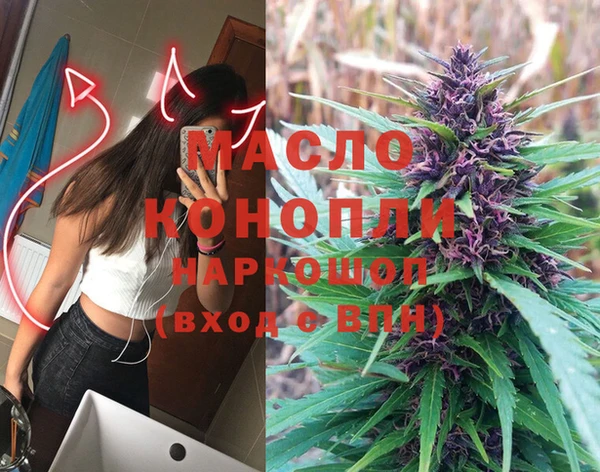 твердый Горняк