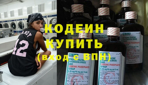 прущие грибы Горнозаводск