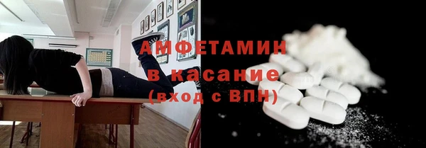 твердый Горняк