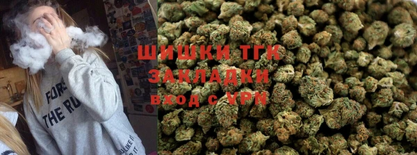 прущие грибы Горнозаводск