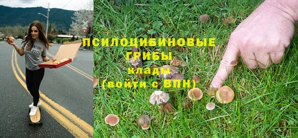 твердый Горняк