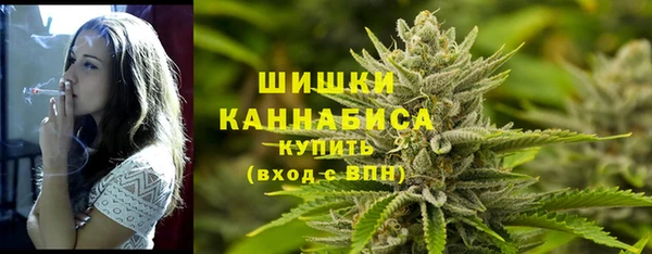 винт Горно-Алтайск