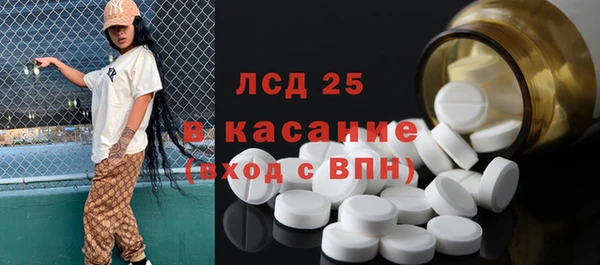 прущие грибы Горнозаводск