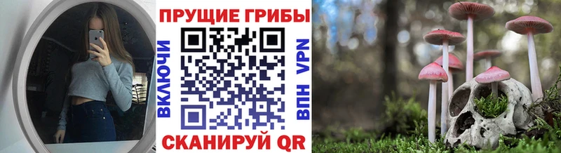 сколько стоит  Горячий Ключ  hydra ТОР  Псилоцибиновые грибы ЛСД 